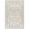 Livabliss Dresden DRE-2309 Area Rug , With Fringe DRE2309-1014 - alternate 1